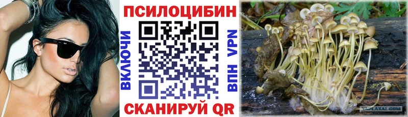 Псилоцибиновые грибы Magic Shrooms  Гай 